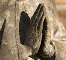 The Importance of Prayer